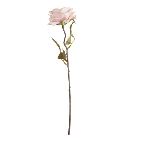 ROSA CORVETTE PINK CM.50